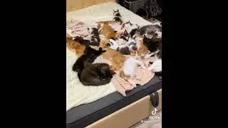 Когда не вышла замуж