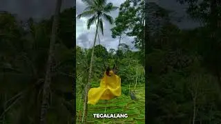 Tegalalang Rice Terraces in Ubud, Bali #shorts #tegalalang #tegalalangriceterrces #ubudriceterrce