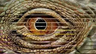 An Introduction to High-Magnification Macro Photography