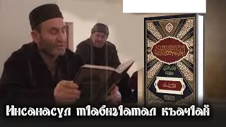 Инсанасул т1абиг1атал къач1ай