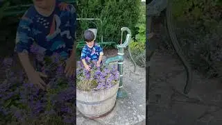Bornholm, Denmark ...child playing in the garden