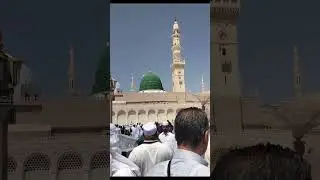 روضه رسول صلى الله عليه وسلم #madinah