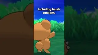 This Move Is Solar Beam 2.0 #pokemon