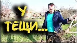 🌳👌 У тещи в гостях.... Пропажа и поиски телефона! Закопали??? ☎️