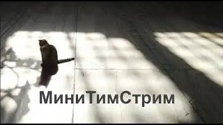 ABOUT LONELINESS AND GAMERS. MiniTeamStream