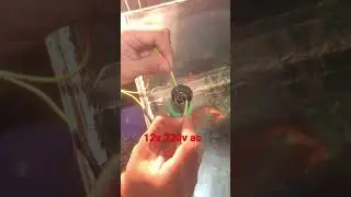 12dc motor ac230v #homemade #repair#shorts #dcmotor