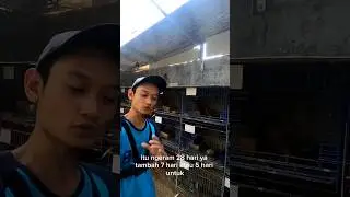 PASANG RING PPMBSI 2025 BIAR PAS