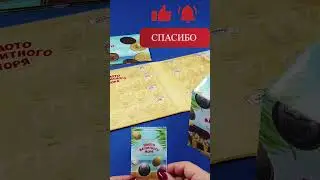 Золотая магнета из сокровищ магнитного моря !  #игрушки #сюрприз #монеты #магнеты