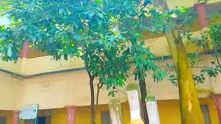 কুতুবদিয়া মডেল হাই স্কুল অ্যান্ড কলেজ ক্যামপাস