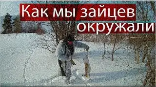 Охота на зайца.Как мы зайцев окружали./Hunting the hare. As we surrounded the hares.