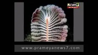 Sesh Nag 36 bashpare futichi Himalayre Jay jagannath