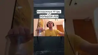 #папич