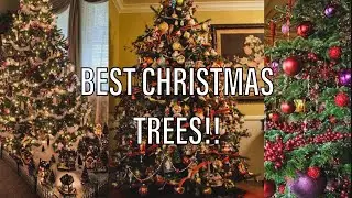 The BEST Christmas trees you will see this year!