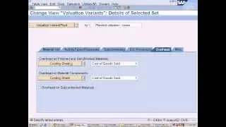 SAP Product Costing Training - Creating Valuation Variant