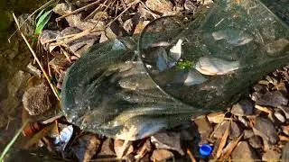 РЫБАЛКА НА СТАРОБЕШЕВО ИЮНЬ 2024