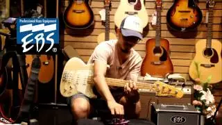 EBS Billy Sheehan Signature Bass Pedal by BassThai.com