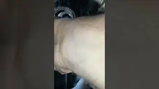 Замена сальника коленвала, на изи, люблю современный автопром 💪