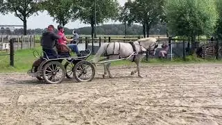Daan voor de wagen 1