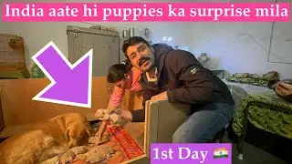 India aate hi puppies ka surprise mila🥳 | India aaya 15 months baad