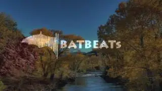 Price & Takis - Hands - BatBeats