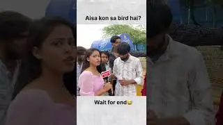 Aisa kon sa bird hai #shortvideo #viralvideo
