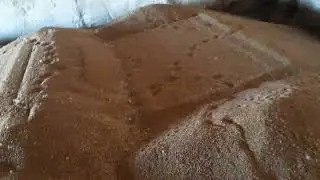 Итоги уборки пшеницы 2024!