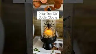 Dollar Tree DIY Spider Cloche 🕷️#dollartreediy #halloweendiy #dollartree #decor