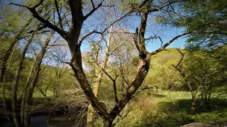 Dirty Dancing / fpv freestyle
