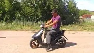Лайка едет на скутере