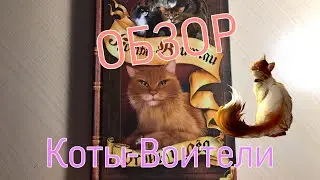 «КОТЫ-ВОИТЕЛИ»#2|ОБЗОР «ОГОНЬ И ЛЁД»