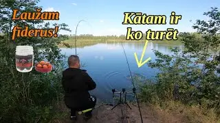 Laužam fīderus ar lielām karpām! Testēju makšķeru limitu!