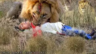 Lion Attack Man in Forest | Lion Attack Hunter | Lion Attack Stories Part-20