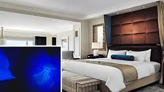 The Palazzo Hotel, Las Vegas- UV Light Adventures