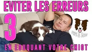 Eviter les ERREURS d'éducation avec son Chiot Vol.3
