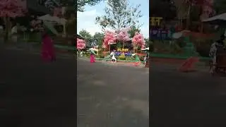Bukit sakura rekomendasi destinasi wisata kota Bandar Lampung🤩🤩👌👍🏻🤩(2)