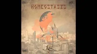 14.- Locura (Homeostasis 2015)