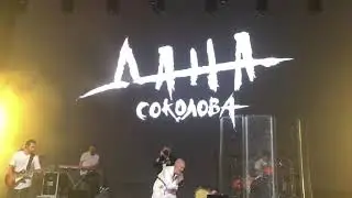 Дана Соколова - Фонари
