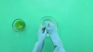 Cómo limpiar pinceles y esponjas de maquillaje | Cleanipedia