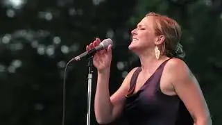 Amado Mio   Pink Martini Storm Large