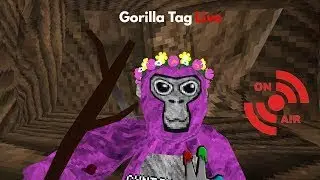 20$ shiny rock giveaway (gorilla tag)  | Road to 4k