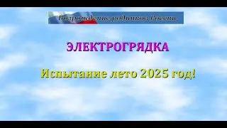 ELEKTROGRYADKA summer 2025