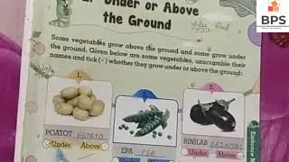 vegetation and plants| plants | eating plants | sabji | khana| food|groceries