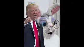 The Ultimate Donald Trump Meme!