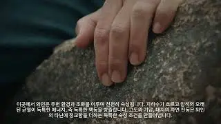 STONEVIK Korean video