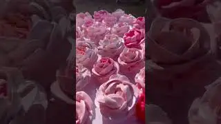 Цветы из зефира 😍Дневной свет-это сила 🔥🔥🔥🔥🔥🔥🔥👍👌