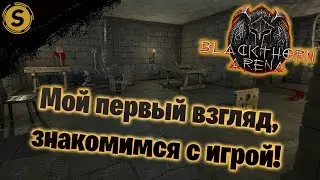 Blackthorn Arena ➤ Первый взгляд ➤ Знакомимся с игрой!