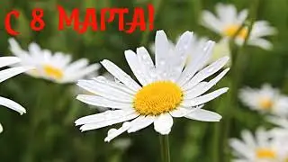 САМОЕ КРАСИВОЕ ПОЗДРАВЛЕНИЕ С 8 МАРТА