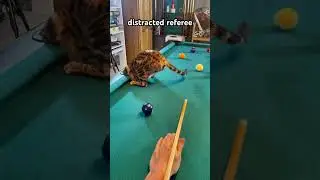 🎱 