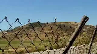 Eski Foça Kanalı Balık Avı