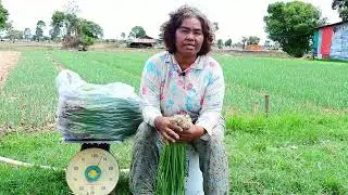 អត្តប្រយោជន៍នៃការពិនិត្យគុណភាពដី